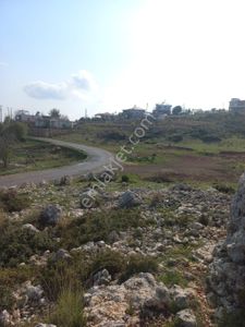 Arsa-Tarla