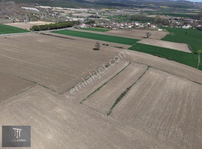 Arsa-Tarla