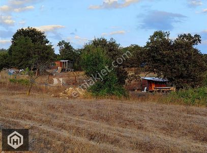 Arsa-Tarla