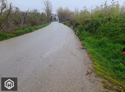 Arsa-Bağ & Bahçe