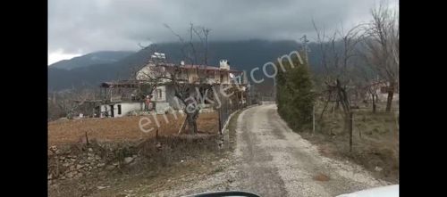 Arsa-Konut İmarlı