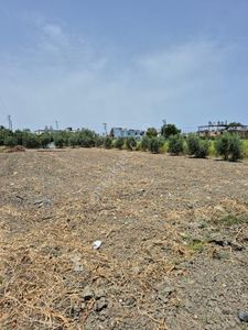 Arsa-Konut İmarlı