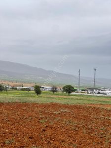 Arsa-Tarla