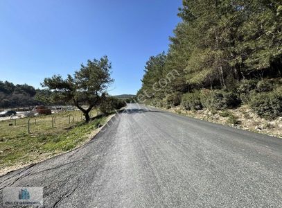 Arsa-Tarla