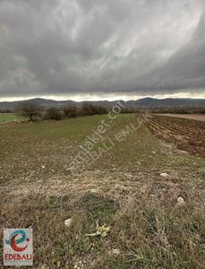 Arsa-Tarla