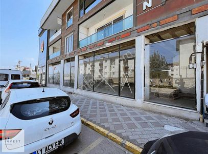 İşyeri-Dükkan & Mağaza