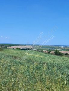 Arsa-Tarla