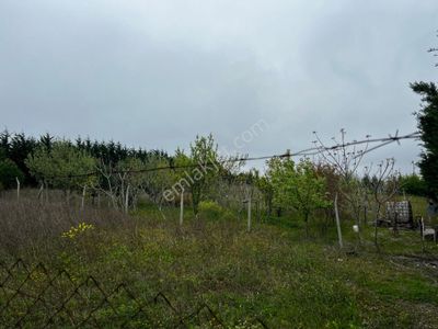 Arsa-Konut İmarlı