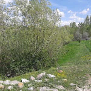 Arsa-Konut İmarlı
