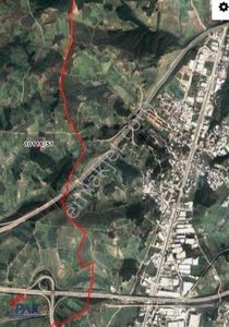Arsa-Zeytinlik