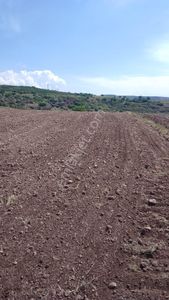 Arsa-Tarla