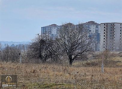Arsa-Konut İmarlı