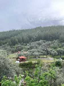 Arsa-Ticari İmarlı