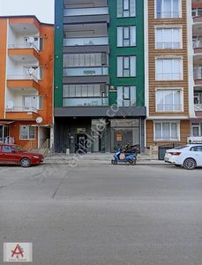 İşyeri-Dükkan & Mağaza