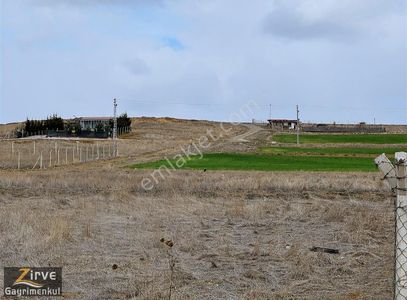 Arsa-Konut İmarlı