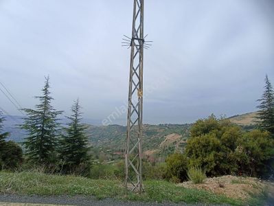 Arsa-Tarla