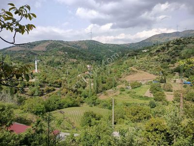 Arsa-Bağ & Bahçe
