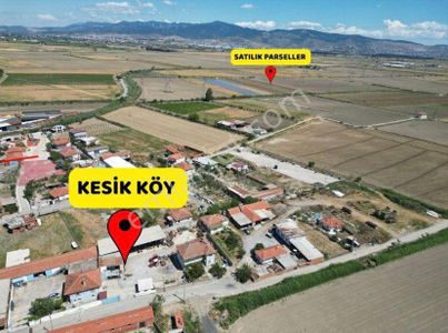 Arsa-Tarla