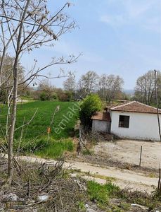 Arsa-Tarla