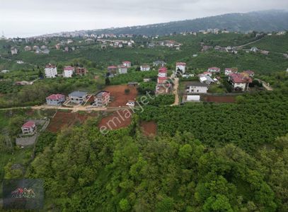 Arsa-Bağ & Bahçe