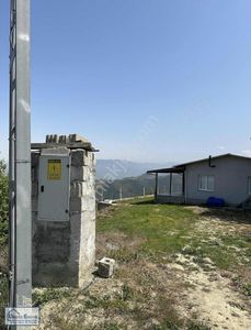 Arsa-Bağ & Bahçe