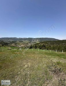 Arsa-Tarla