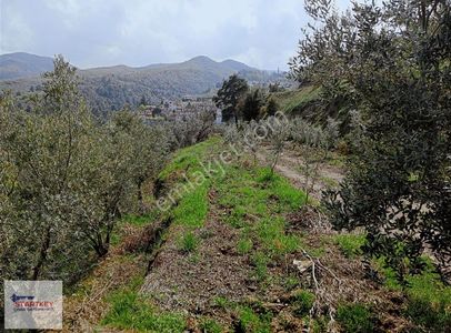 Arsa-Tarla