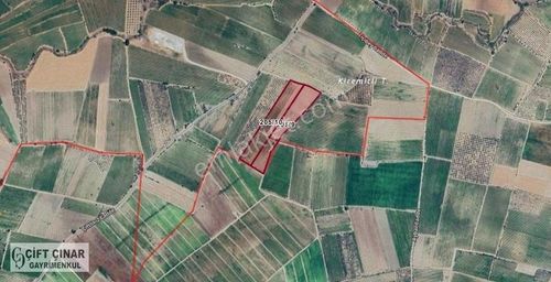 Arsa-Tarla