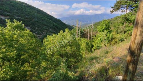 Arsa-Bağ & Bahçe