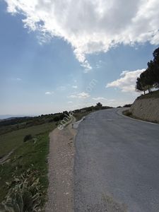 Arsa-Tarla