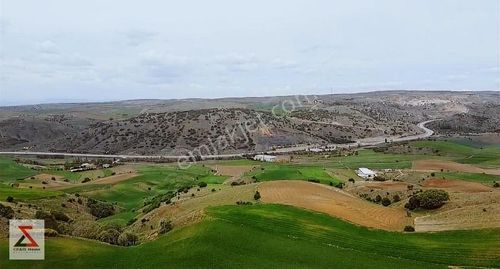 Arsa-Tarla