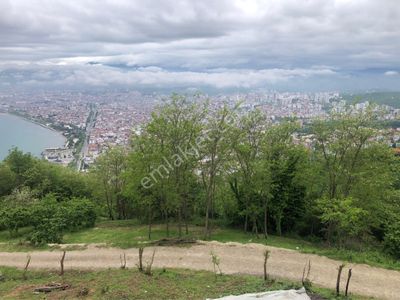 Arsa-Konut İmarlı