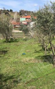 Arsa-Konut İmarlı