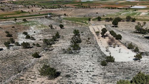 Arsa-Tarla