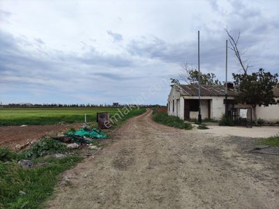 Arsa-Konut İmarlı