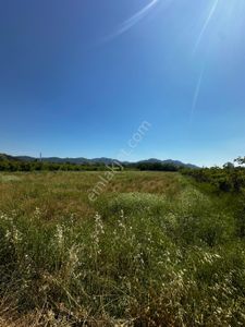 Arsa-Tarla
