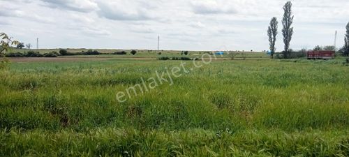Arsa-Konut İmarlı
