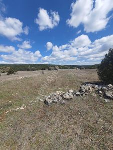 Arsa-Tarla