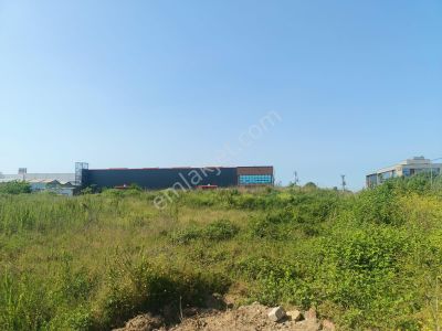 Arsa-Sanayi İmarlı