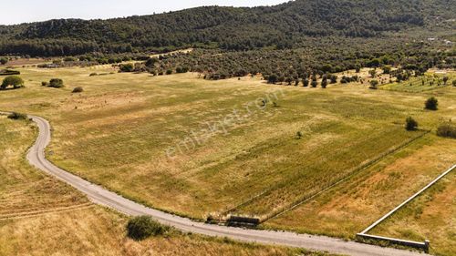 Arsa-Tarla