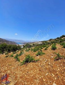 Arsa-Bağ & Bahçe