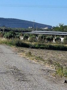 Arsa-Tarla