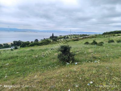 Arsa-Muhtelif Arsa