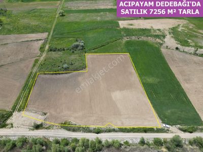 Arsa-Tarla