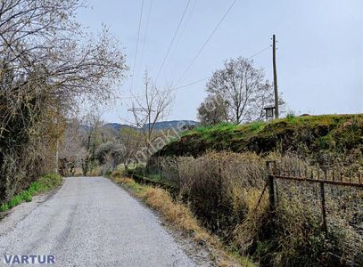 Arsa-Tarla