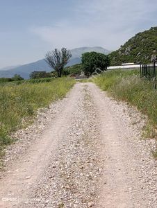 Arsa-Tarla