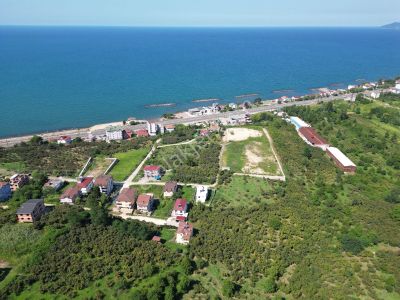 Arsa-Konut İmarlı