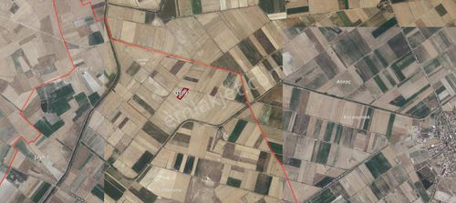Arsa-Tarla