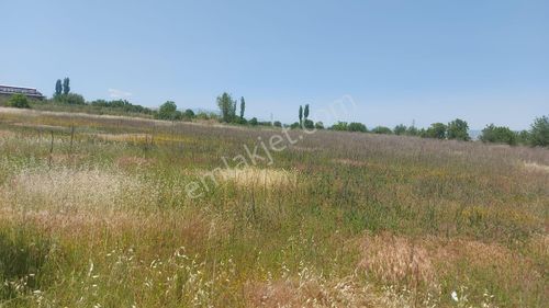 Arsa-Tarla
