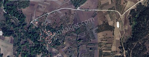 Arsa-Tarla